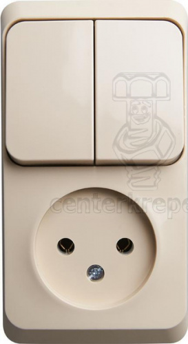 Блок: розетка и 2-кл. выключатель о/п крем "Этюд" Schneider Electric ВРА16-205K (10000032894) фото в магазине
