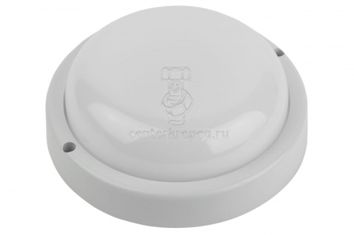 Светильник LED SPB-201-0-40К-012 IP65 12Вт 1140Лм 4000К IP65 круг. бел. ЭРА Б0047619 фото в магазине