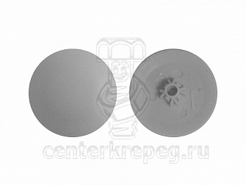 Заглушка д/шурупа РН2/PZ (св.серая) 50шт./упак 16-1710 фото в магазине