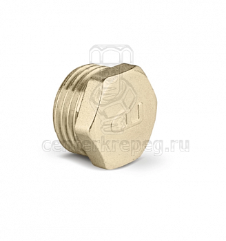 Заглушка 3/4" нар  549725 фото в магазине
